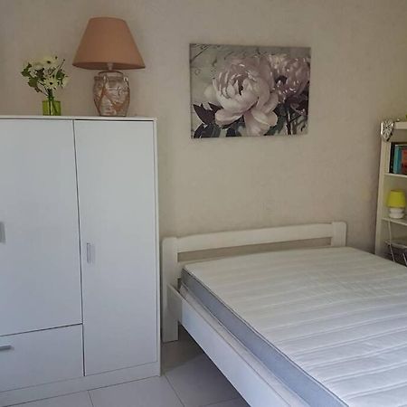 Appt 2 Etoiles Agreable Et Calme Vue Sur Montagnes Leilighet Amélie-les-Bains-Palalda Eksteriør bilde